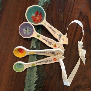 Pioneer Woman Measuring Spoons